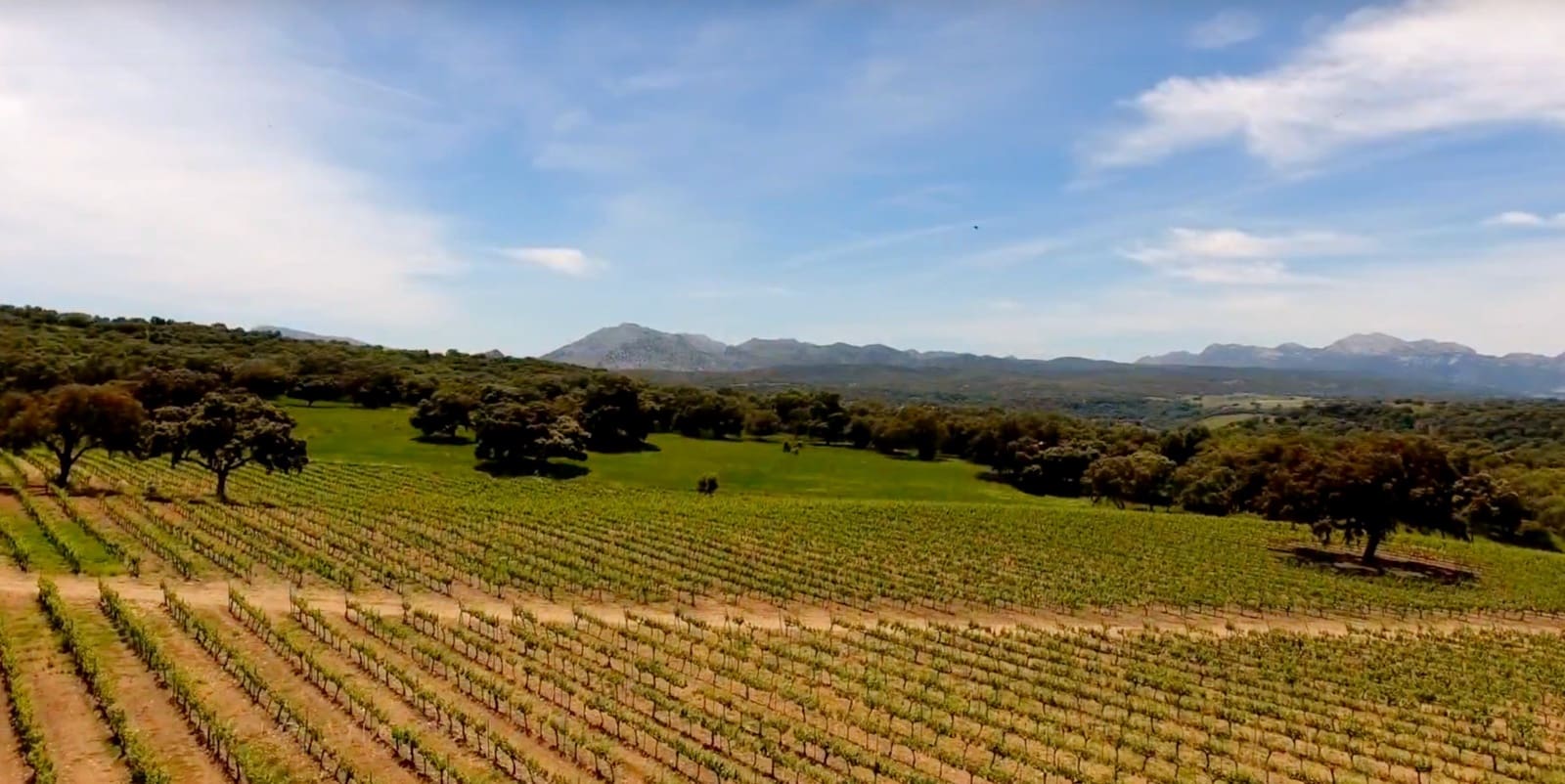 9 soveværelse Villa til salg i Ronda med swimmingpool garage - € 16.400.000 (Ref: 8464429)