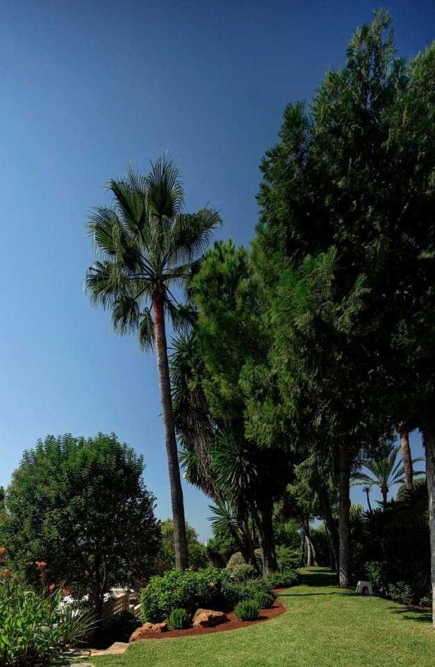 10 quarto Moradia para venda em Marbella com piscina garagem - 9 800 000 € (Ref: 8464461)