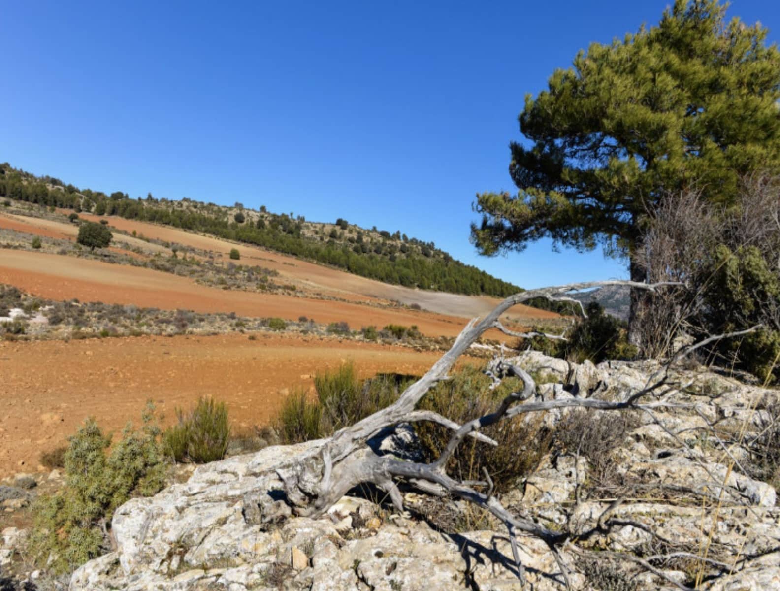 16 soveværelse Finca/Landehus til salg i Puebla de Don Fadrique med swimmingpool - € 7.200.000 (Ref: 8568809)