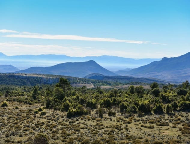 16 slaapkamer Finca/Landhuis te koop in Puebla de Don Fadrique met zwembad - € 7.200.000 (Ref: 8568809)