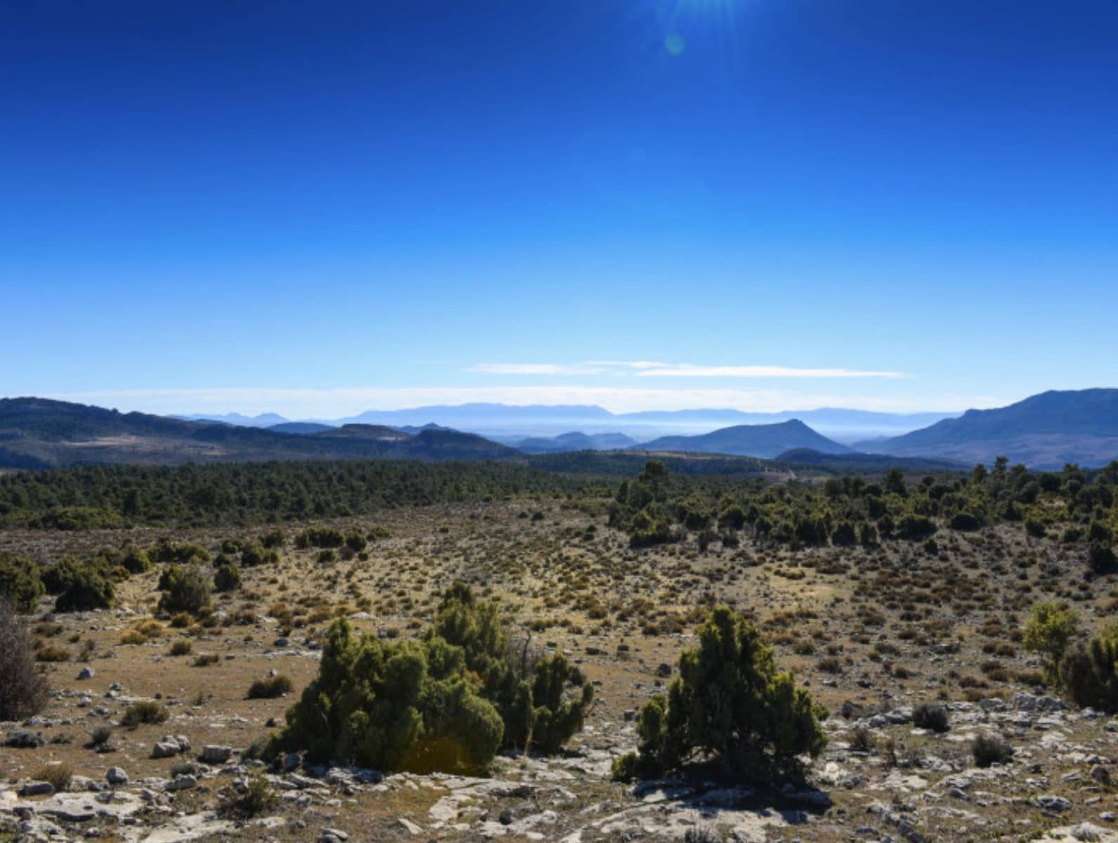 16 soveværelse Finca/Landehus til salg i Puebla de Don Fadrique med swimmingpool - € 7.200.000 (Ref: 8568809)