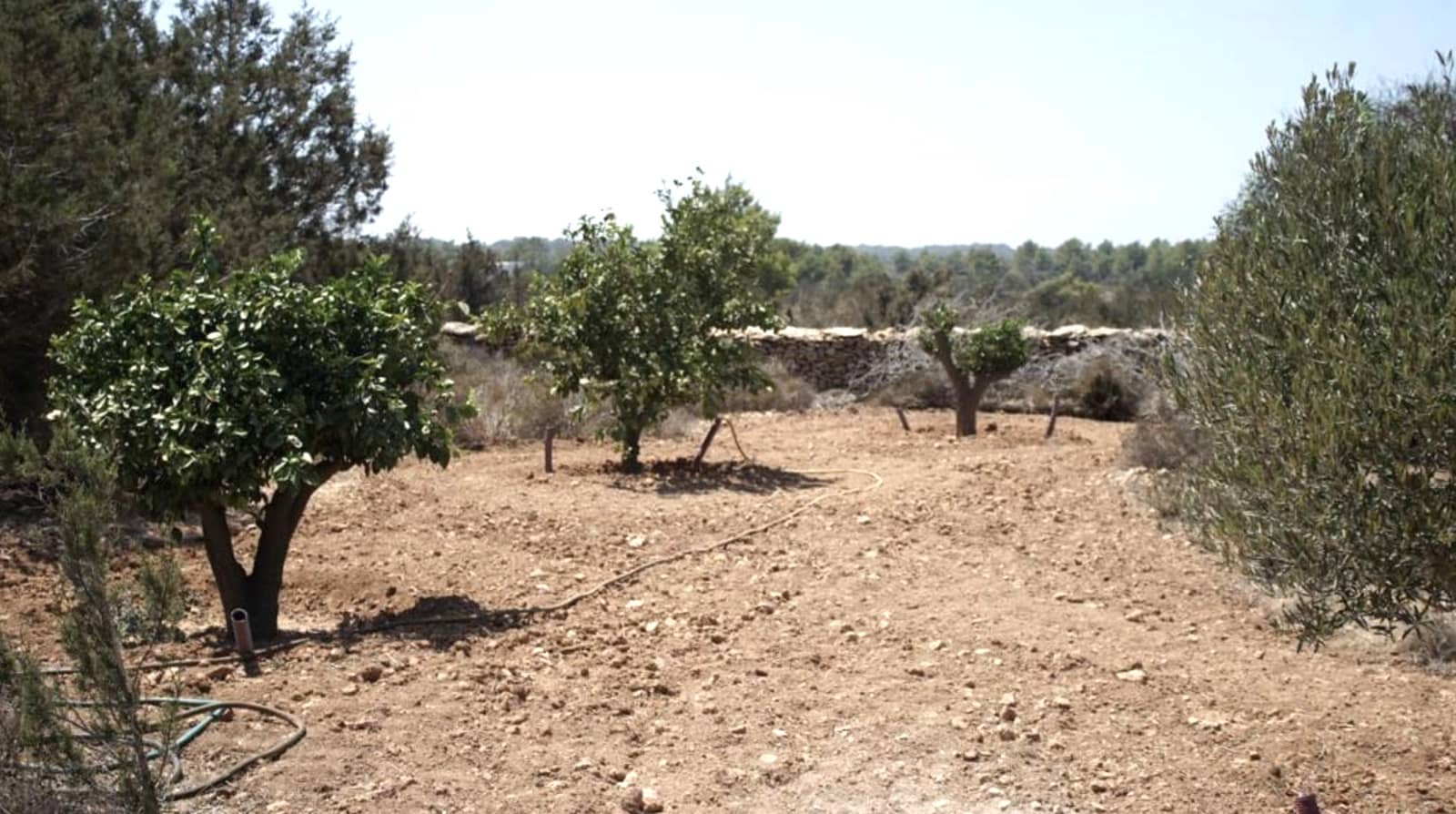 5 soveværelse Villa til salg i Platja de Migjorn med swimmingpool garage - € 2.650.000 (Ref: 8569030)