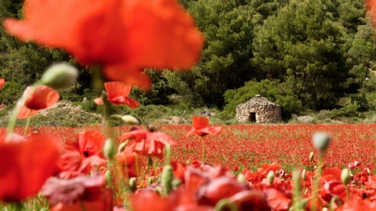 18 soveværelse Finca/Landehus til salg i La Pobla de Claramunt med swimmingpool garage - € 2.350.000 (Ref: 9064592)