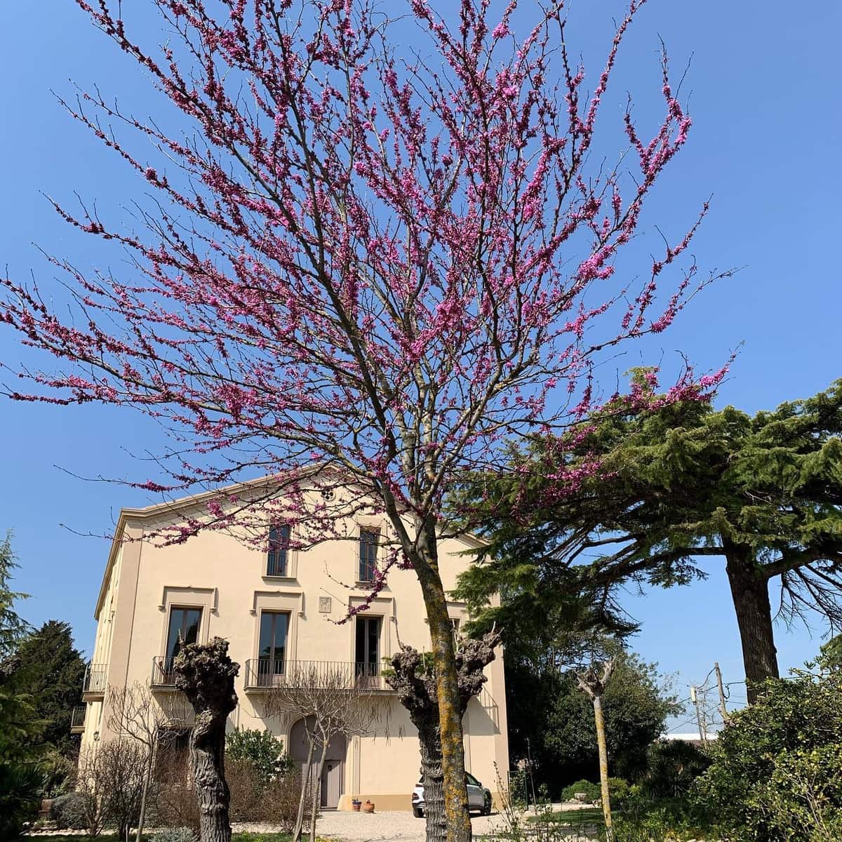 18 soveværelse Finca/Landehus til salg i La Pobla de Claramunt med swimmingpool garage - € 2.350.000 (Ref: 9064592)