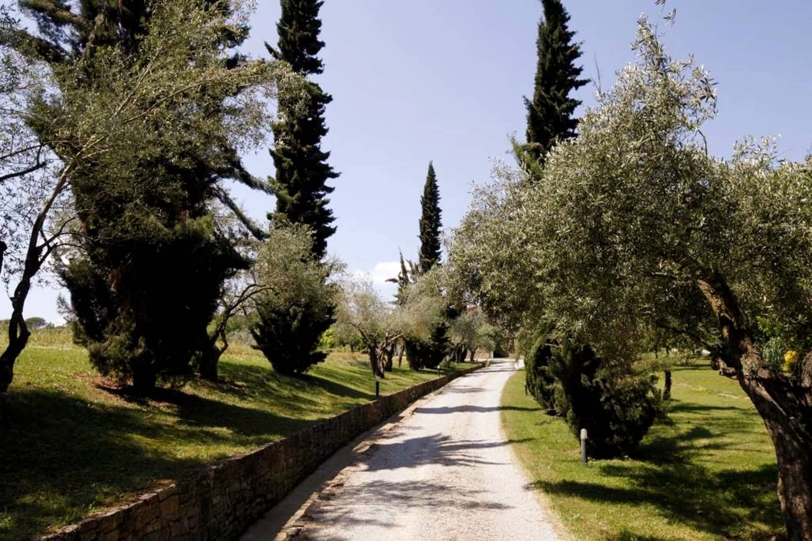 9 camera da letto Finca/Casa di Campagna in vendita in Cruilles Monells i Sant Sadurni de I'Heura con piscina garage - 2.900.000 € (Rif: 9068349)