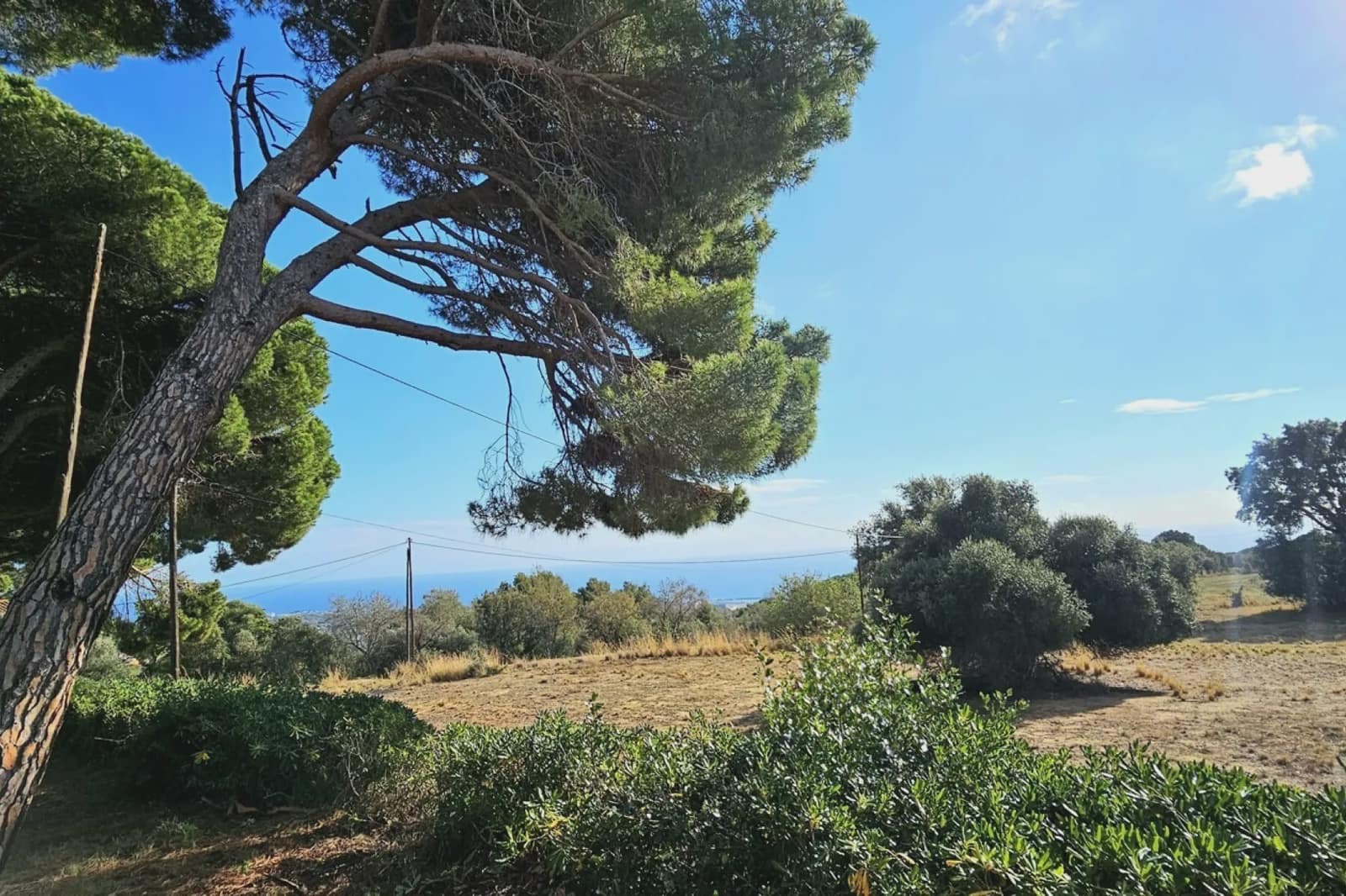 14 soveværelse Finca/Landehus til salg i Arenys de Munt med swimmingpool garage - € 1.800.000 (Ref: 9480567)