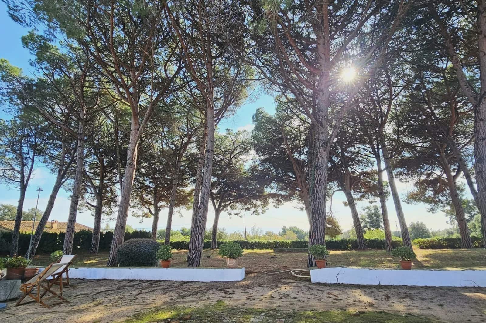 14 soveværelse Finca/Landehus til salg i Arenys de Munt med swimmingpool garage - € 1.800.000 (Ref: 9480567)