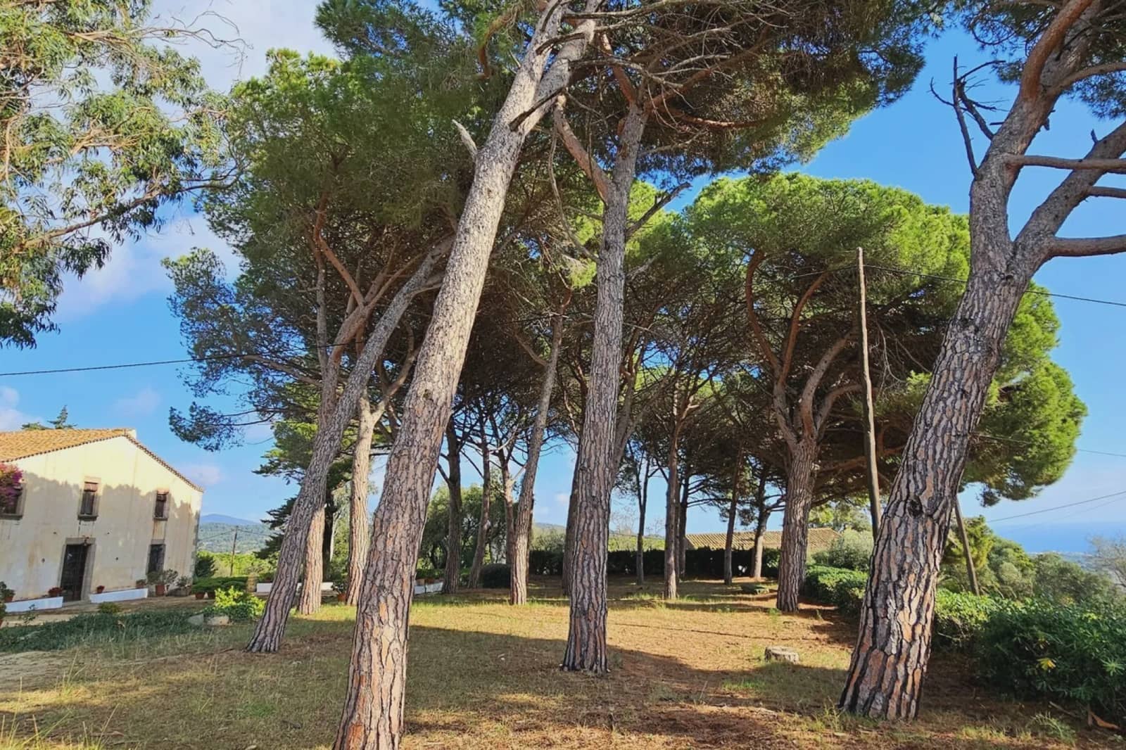 14 soveværelse Finca/Landehus til salg i Arenys de Munt med swimmingpool garage - € 1.800.000 (Ref: 9480567)