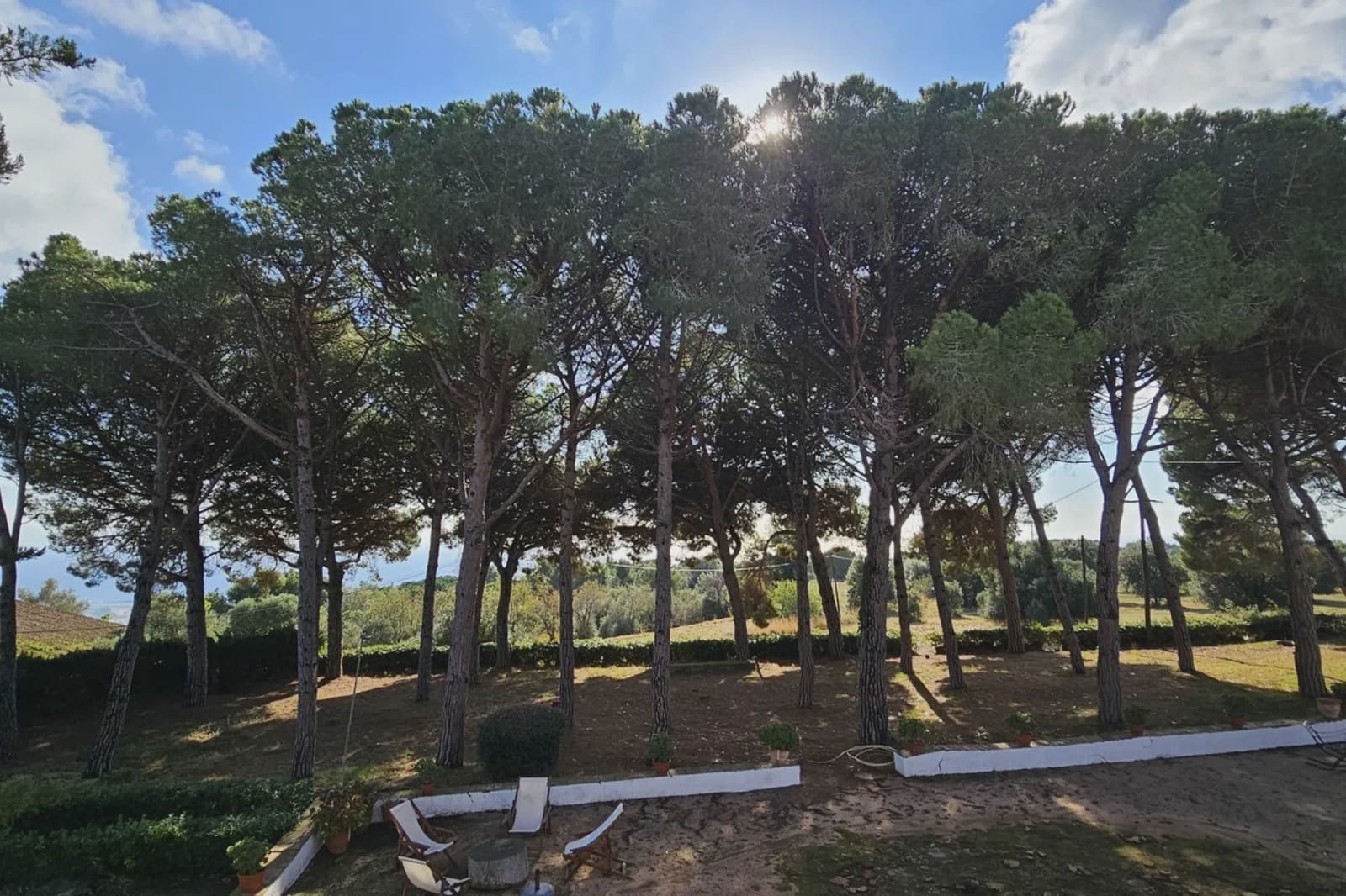 14 soveværelse Finca/Landehus til salg i Arenys de Munt med swimmingpool garage - € 1.800.000 (Ref: 9480567)