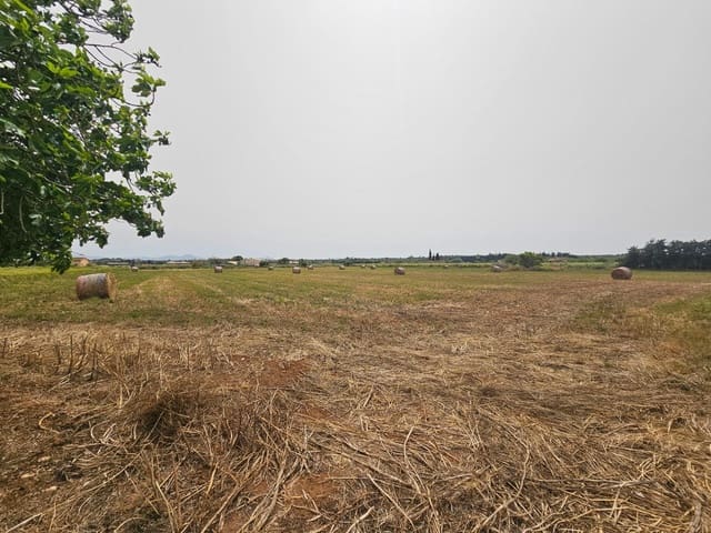 Undeveloped Land for sale in Muro - € 185,000 (Ref: 8966207)