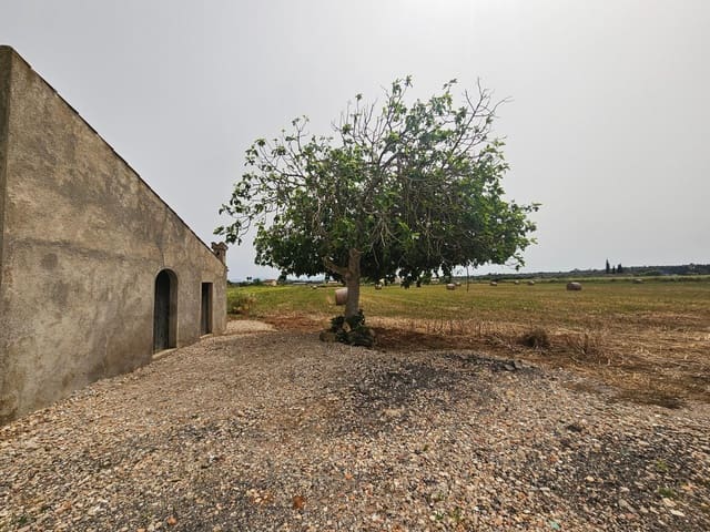 Undeveloped Land for sale in Muro - € 185,000 (Ref: 8966207)