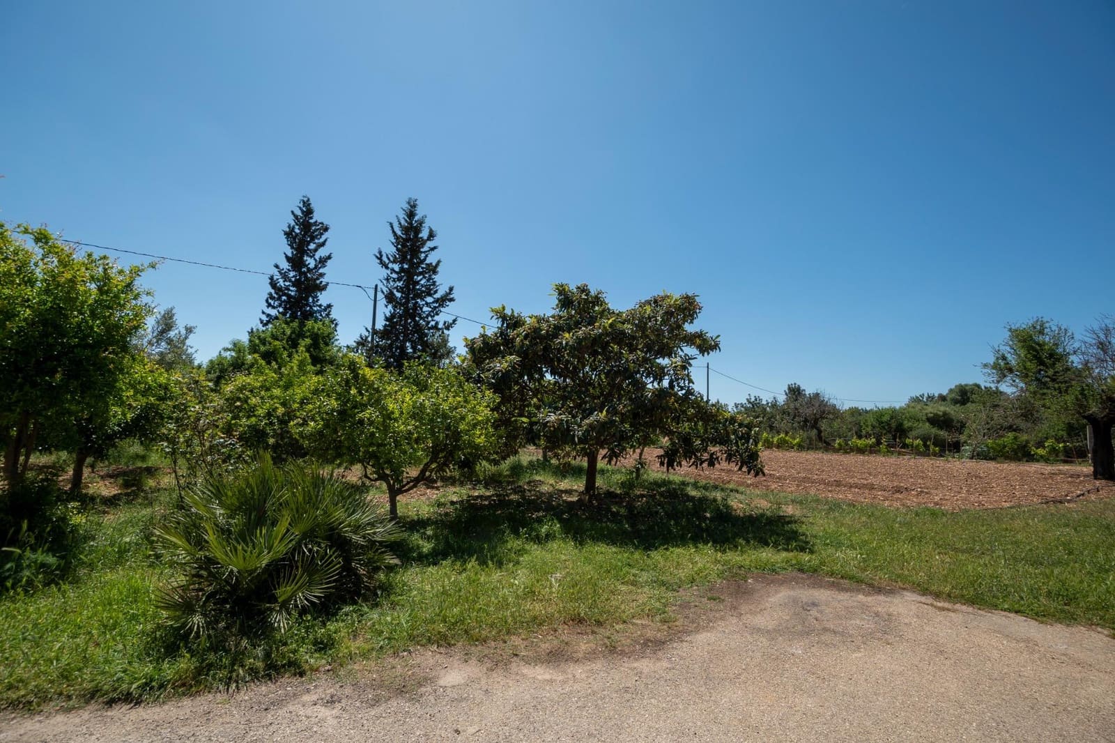 3 bedroom Finca/Country House for sale in Lloseta with pool - € 1,190,000 (Ref: 8966210)