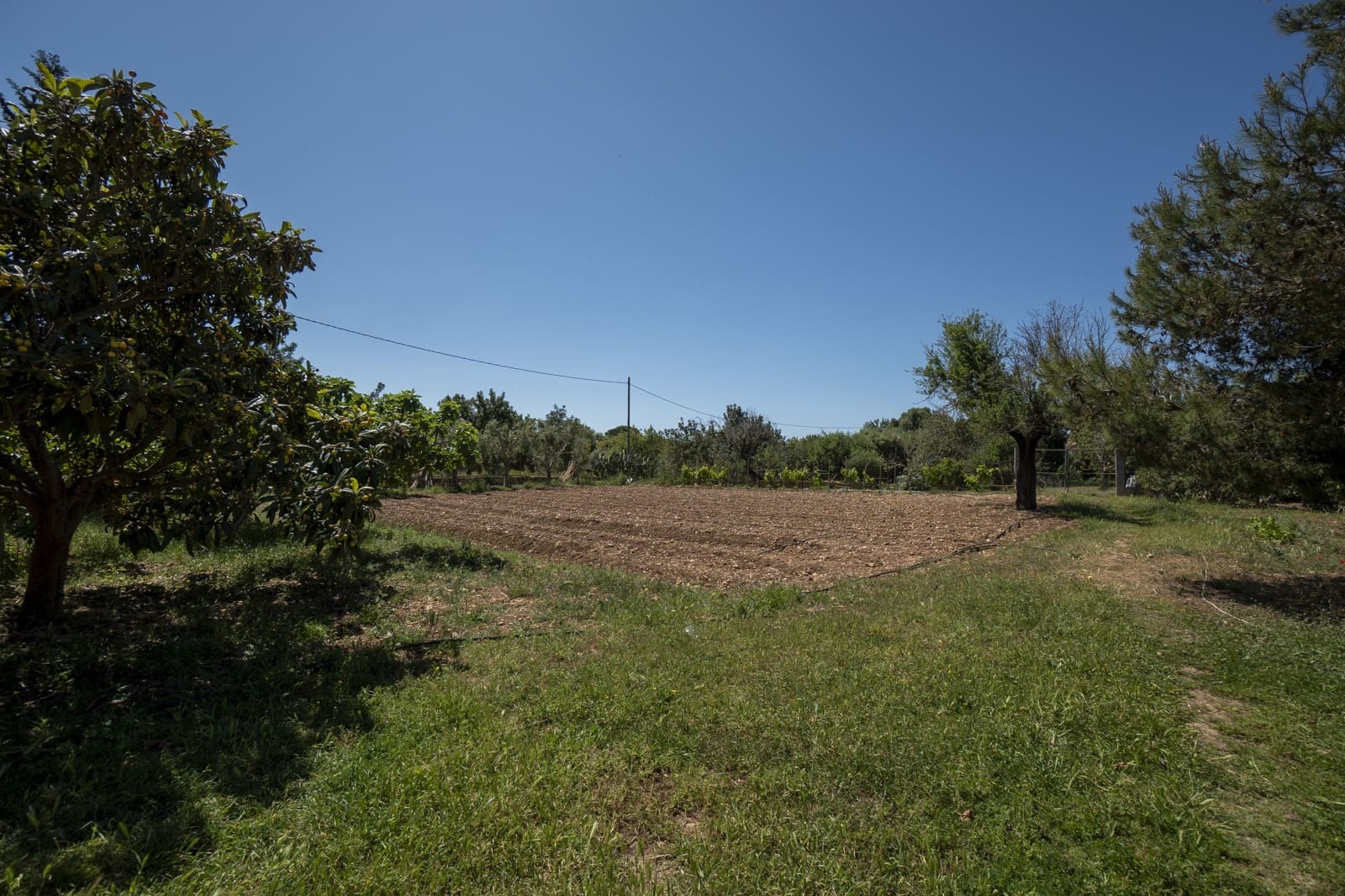 3 bedroom Finca/Country House for sale in Lloseta with pool garage - € 1,290,000 (Ref: 8966210)