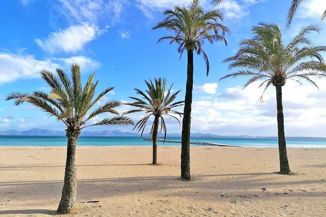 5 quarto Moradia para venda em Alcudia com garagem - 4 990 000 € (Ref: 8968205)