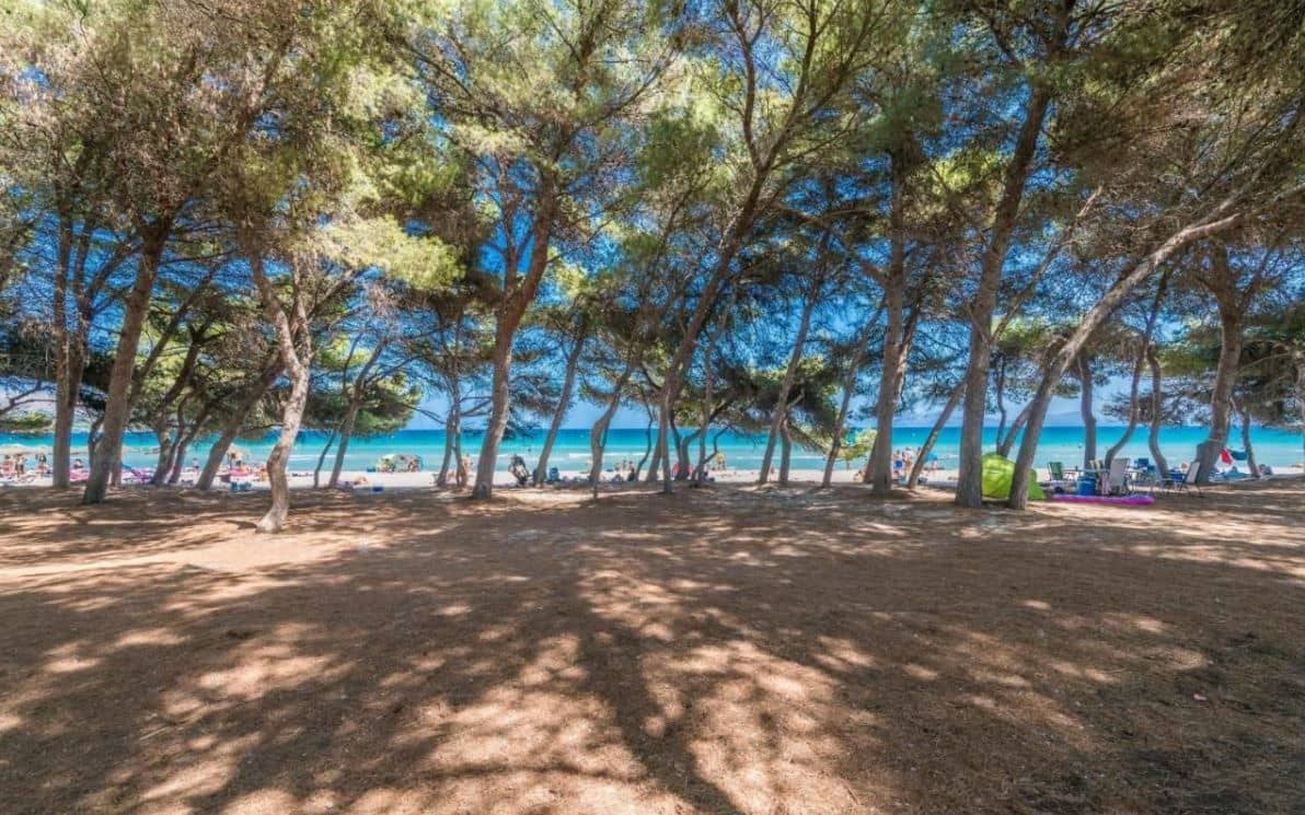 5 quarto Moradia para venda em Alcudia com garagem - 4 990 000 € (Ref: 8968205)