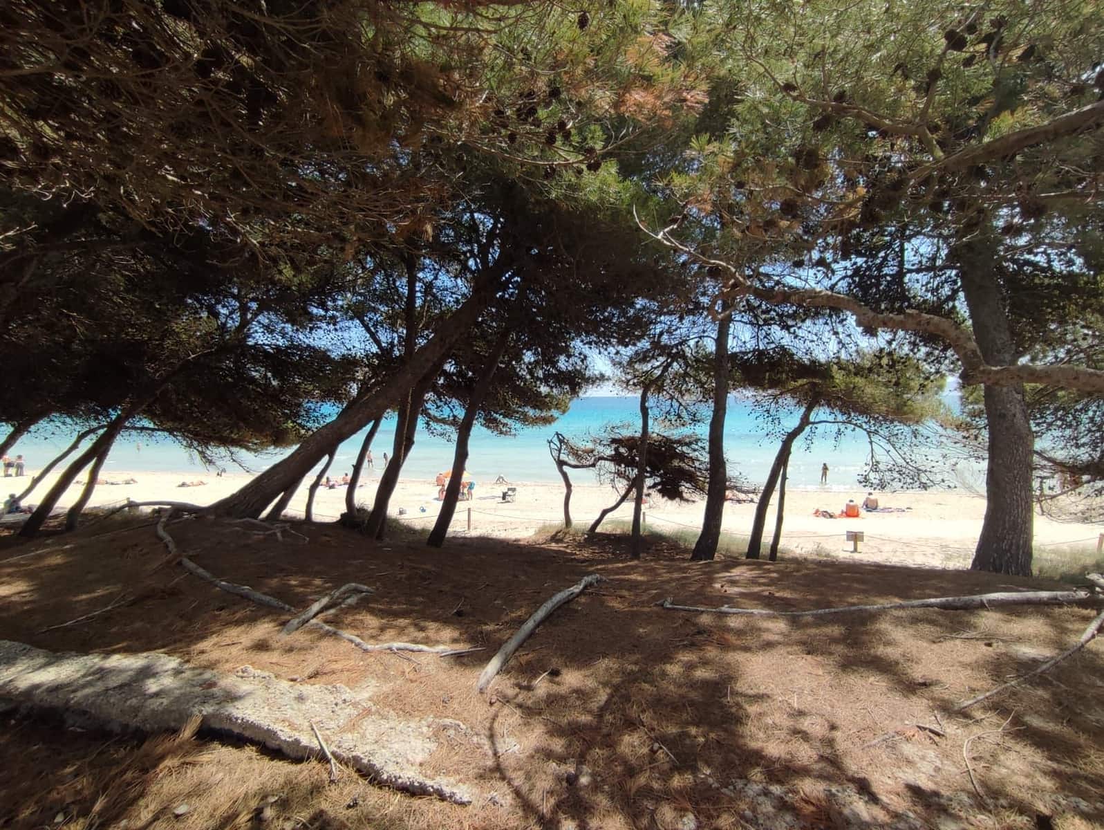 5 quarto Moradia para venda em Alcudia com garagem - 4 990 000 € (Ref: 8968205)