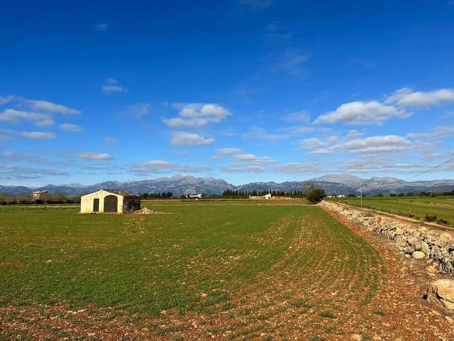 Undeveloped Land for sale in Llubí - € 213,000 (Ref: 8970307)