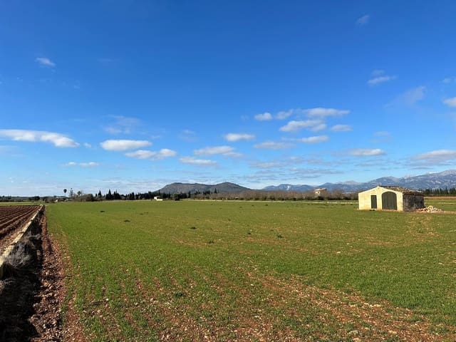 Undeveloped Land for sale in Llubí - € 213,000 (Ref: 8970307)