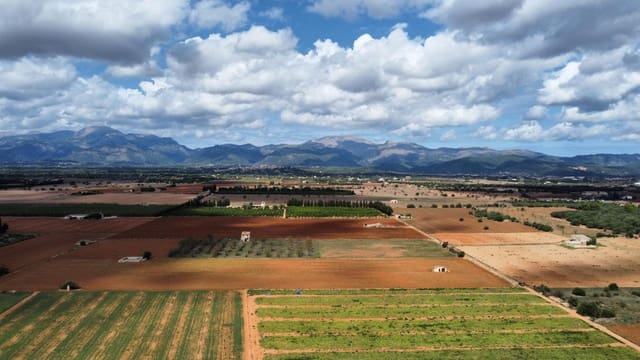 Undeveloped Land for sale in Llubí - € 213,000 (Ref: 8970307)