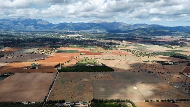 Undeveloped Land for sale in Llubí - € 213,000 (Ref: 8970307)