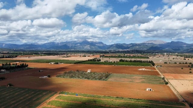 Undeveloped Land for sale in Llubí - € 213,000 (Ref: 8970307)