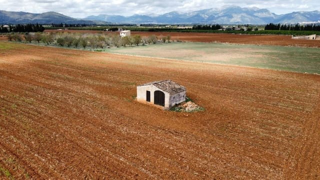 Undeveloped Land for sale in Llubí - € 213,000 (Ref: 8970307)