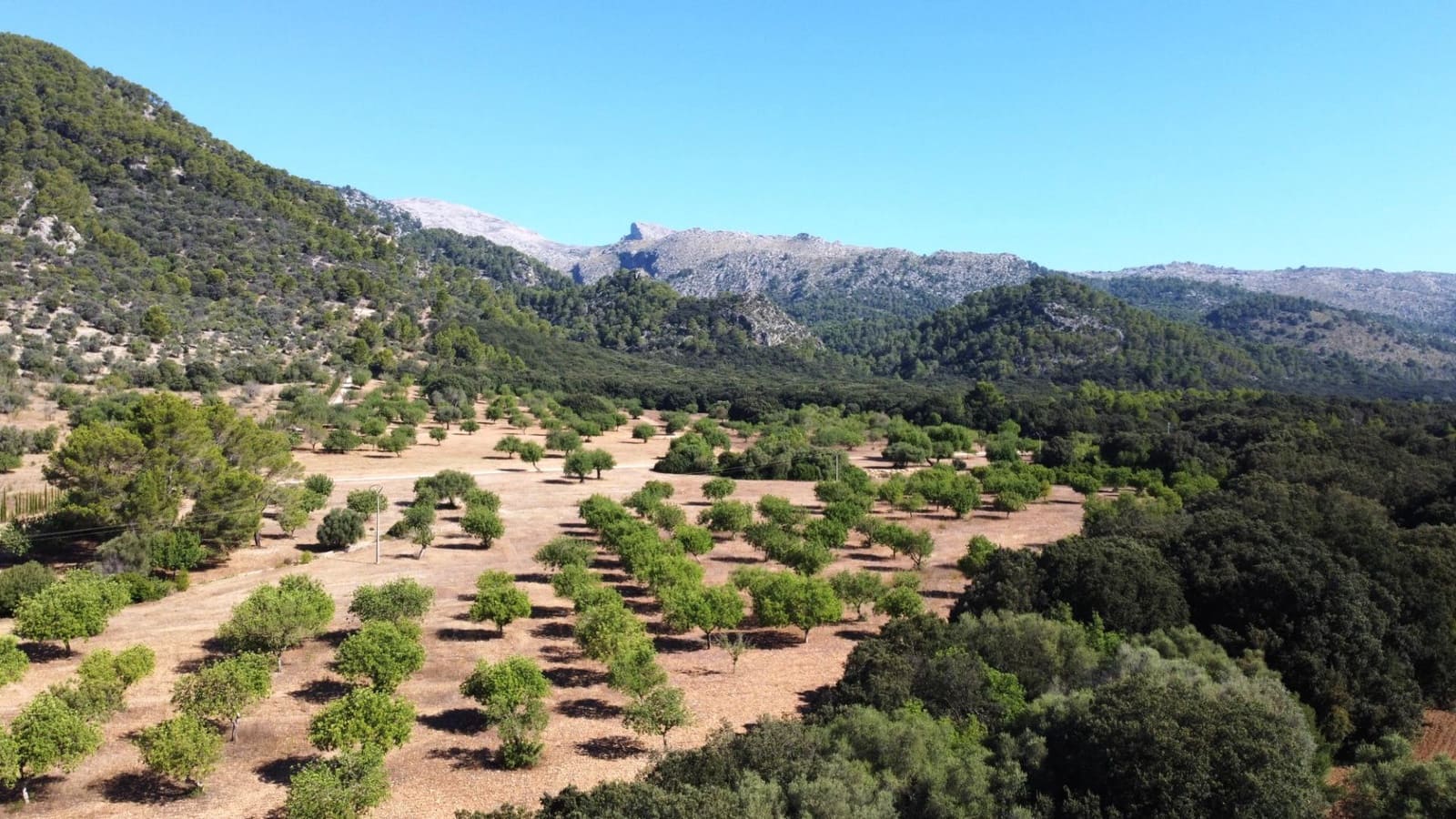 2 soveværelse Villa til salg i Campanet med swimmingpool - € 1.150.000 (Ref: 9062278)