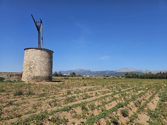 Bauplatz zu verkaufen in Sa Pobla - 280.000 € (Ref: 9895146)