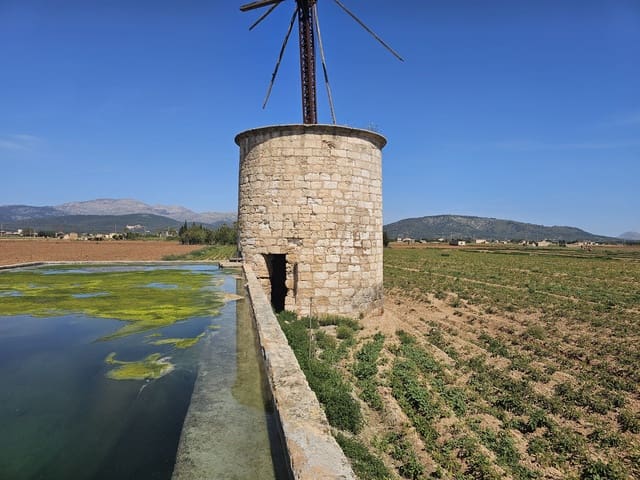 Bauplatz zu verkaufen in Sa Pobla - 280.000 € (Ref: 9895146)