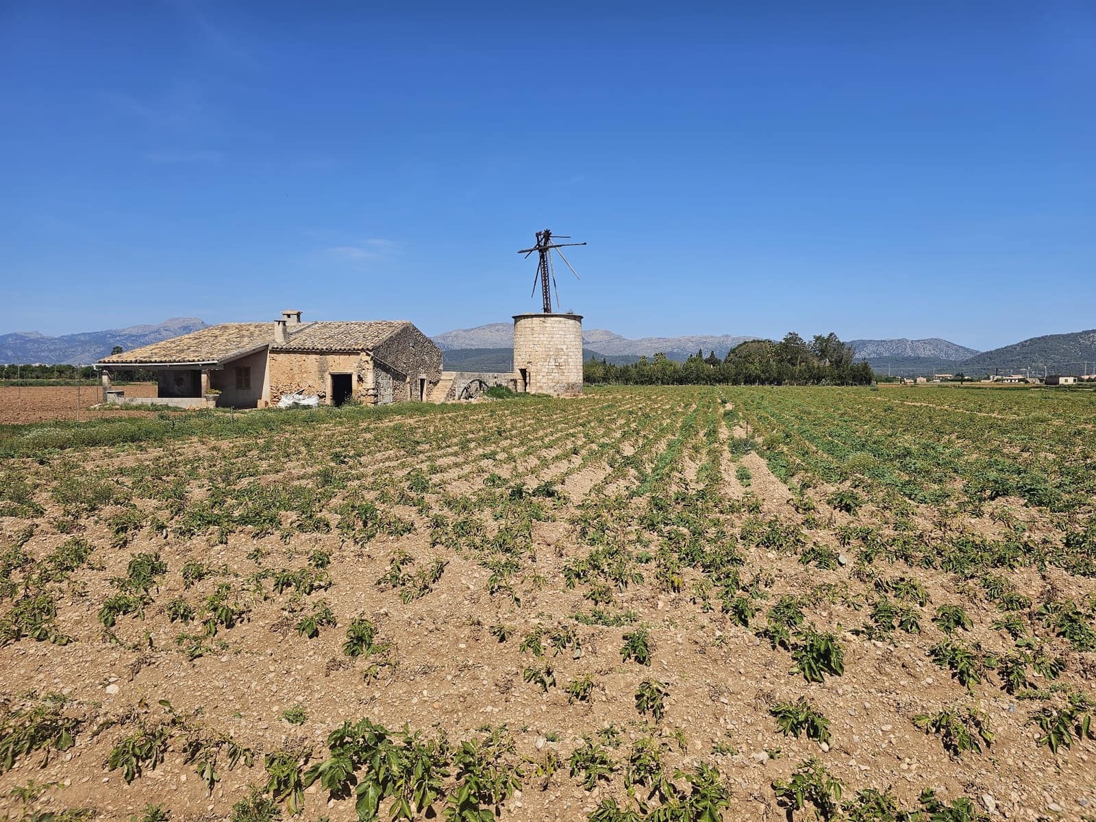 Byggetomt til salgs i Sa Pobla - € 280 000 (Ref: 9895146)