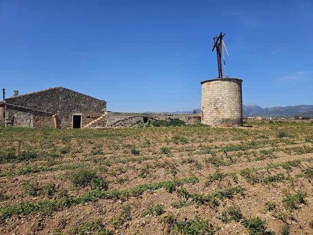 Bauplatz zu verkaufen in Sa Pobla - 280.000 € (Ref: 9895146)