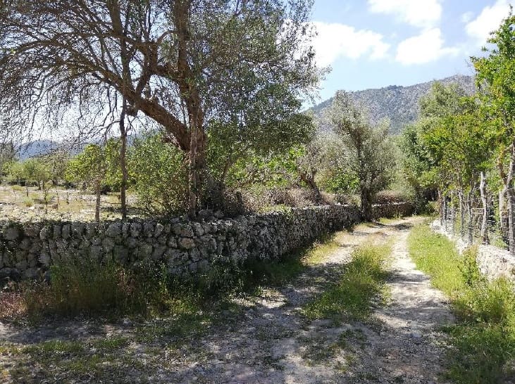 6 sypialnia Dom na sprzedaż w Pollensa / Pollenca - 3 100 000 € (Ref: 5960551)