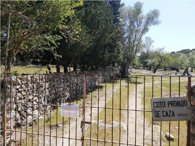 6 sypialnia Dom na sprzedaż w Pollensa / Pollença - 3 100 000 € (Ref: 5960551)