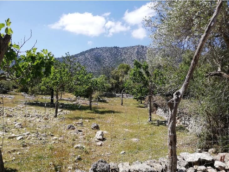 6 sypialnia Dom na sprzedaż w Pollensa / Pollenca - 3 100 000 € (Ref: 5960551)