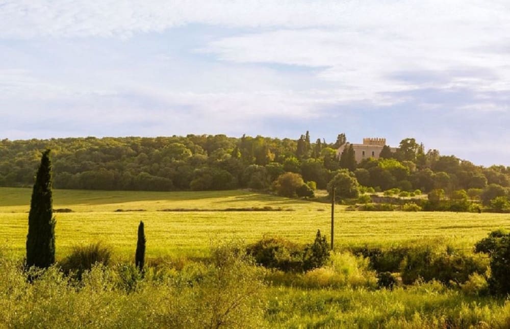 6 soverom Hus til salgs i Sineu - € 2 200 000 (Ref: 6267031)