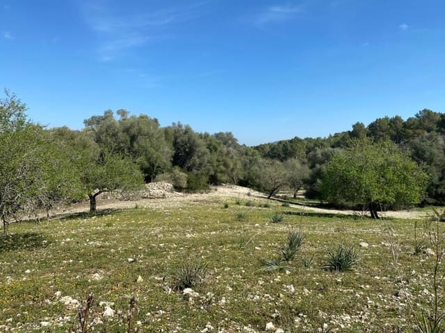 Mark till salu i Sant Joan - 550 000 € (Ref: 6507442)