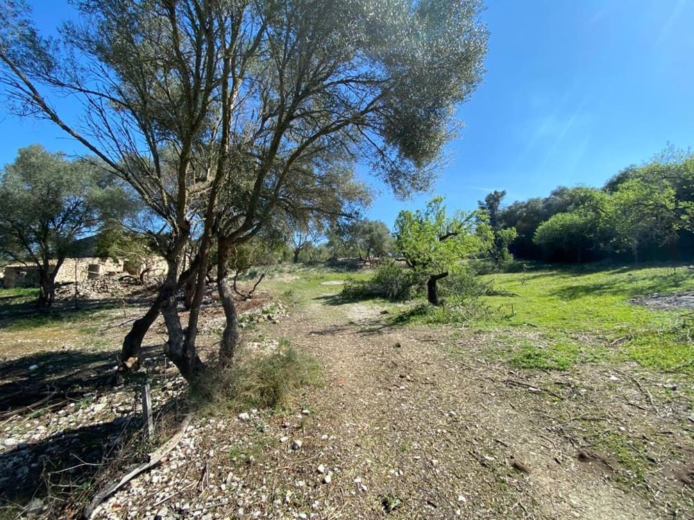 Mark till salu i Sant Joan - 550 000 € (Ref: 6507442)