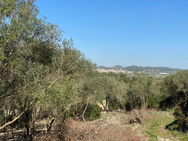 Mark till salu i Sant Joan - 550 000 € (Ref: 6507442)