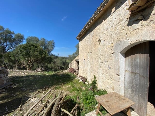 Mark till salu i Sant Joan - 550 000 € (Ref: 6507442)