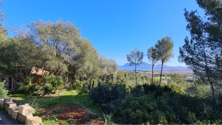 1 sypialnia Dom na sprzedaż w Pollensa / Pollenca - 1 800 000 € (Ref: 6640044)