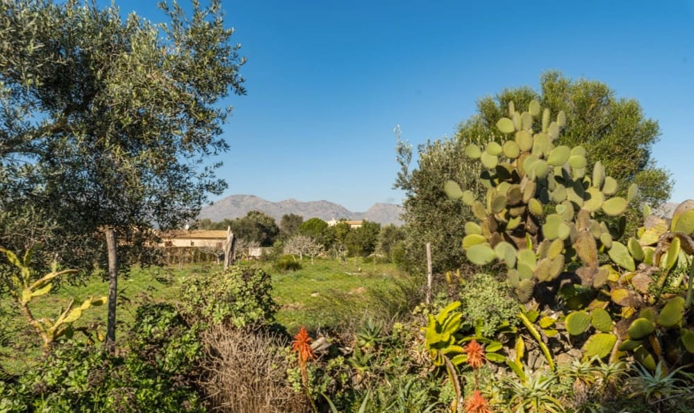 3 slaapkamer Huis te koop in Pollensa / Pollenca - € 1.500.000 (Ref: 7438066)