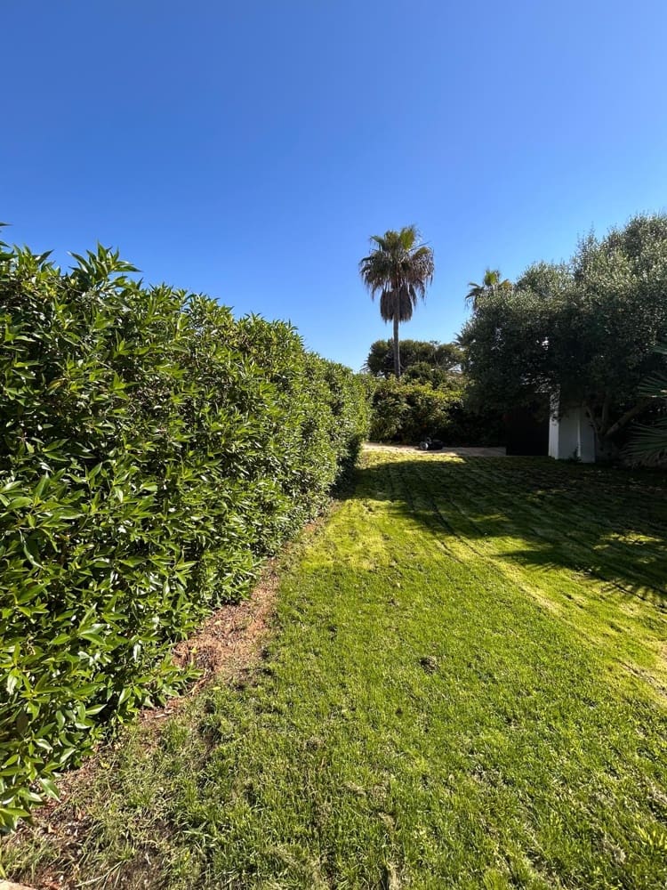 4 soveværelse Byhus til salg i Cala d'Or med swimmingpool garage - € 3.850.000 (Ref: 9197133)