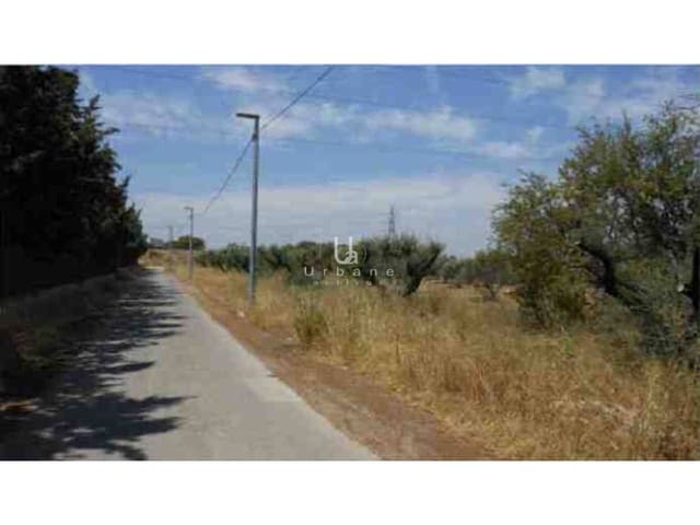 Building Plot for sale in El Palmar, Murcia city - € 48,000 (Ref: 10012781)