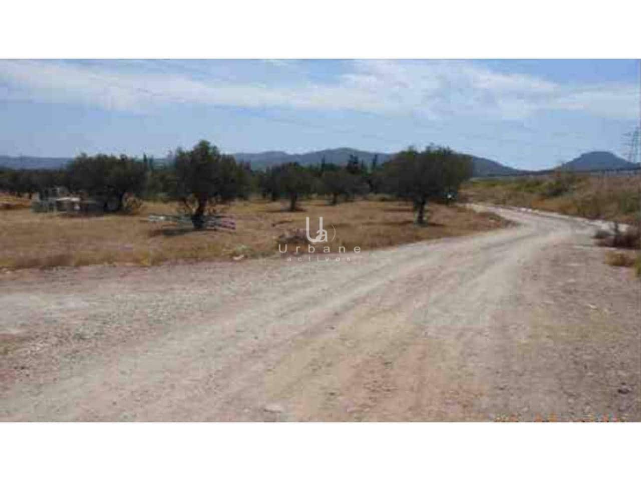 Building Plot for sale in El Palmar - € 48,000 (Ref: 10012781)