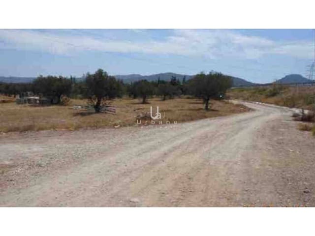 Building Plot for sale in El Palmar, Murcia city - € 48,000 (Ref: 10012781)