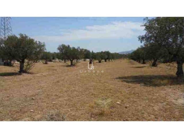 Building Plot for sale in El Palmar, Murcia city - € 48,000 (Ref: 10012781)