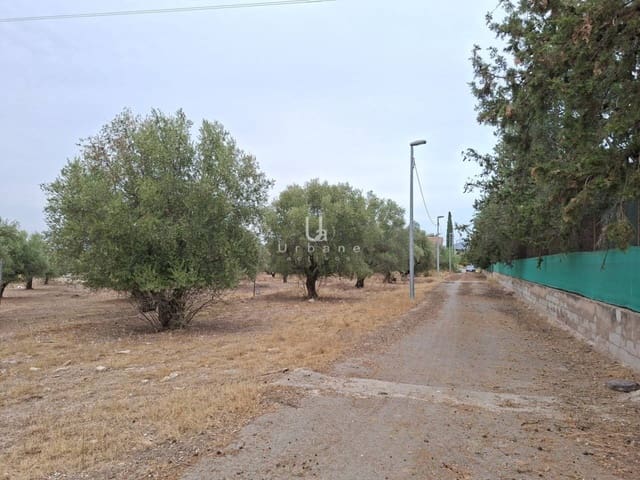 Bouwgrond te koop in El Palmar, Murcia stad - € 48.000 (Ref: 10012781)