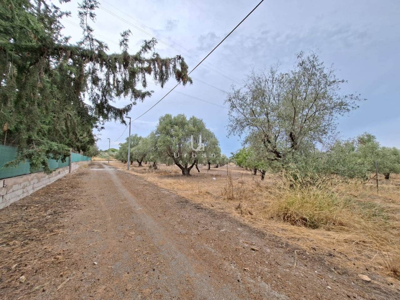 Building Plot for sale in El Palmar - € 48,000 (Ref: 10012781)