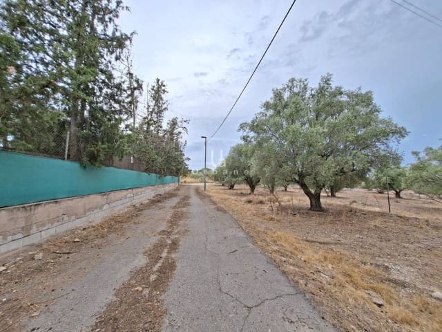 Bouwgrond te koop in El Palmar, Murcia stad - € 48.000 (Ref: 10012781)