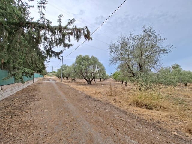 Bouwgrond te koop in El Palmar, Murcia stad - € 48.000 (Ref: 10012781)
